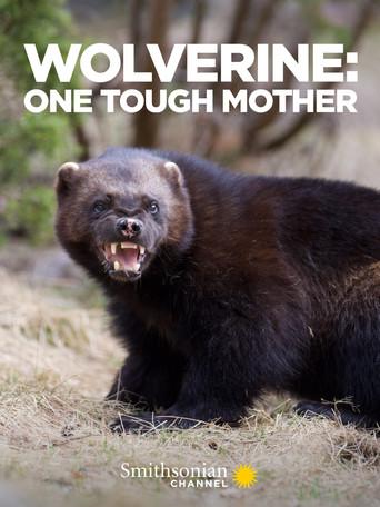 Wolverine: One Tough Mother (2021) poster