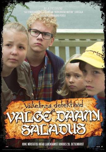 Kid Detectives and the Secret of the White Lady (2013) poster