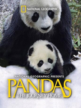 Pandas: The Journey Home (2014) poster