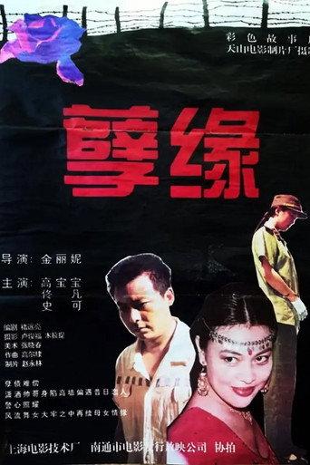 孽缘 (1995) poster