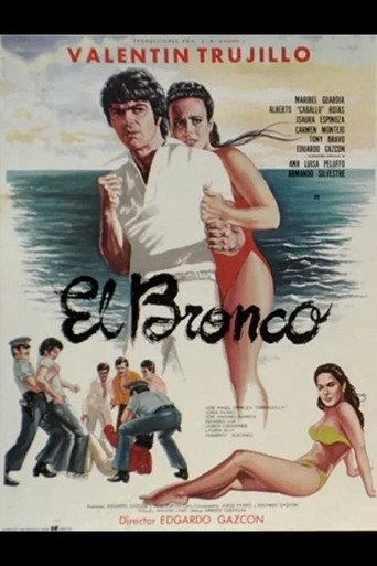 El Bronco (1982) poster