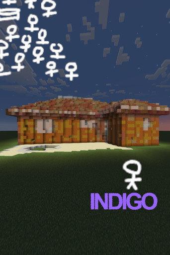 INDIGO (2025) poster