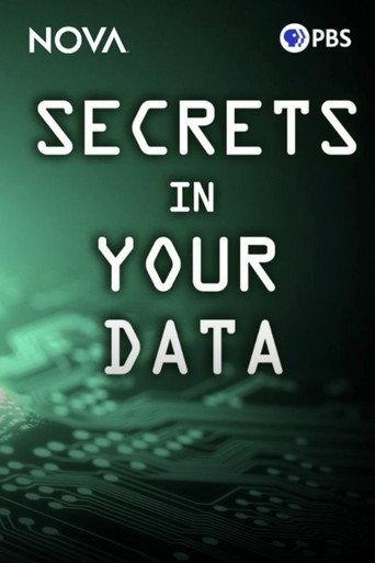 Secrets in Your Data (2024) poster