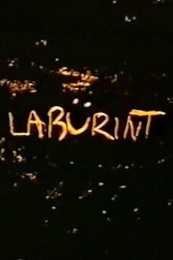 Labyrinth (1989) poster