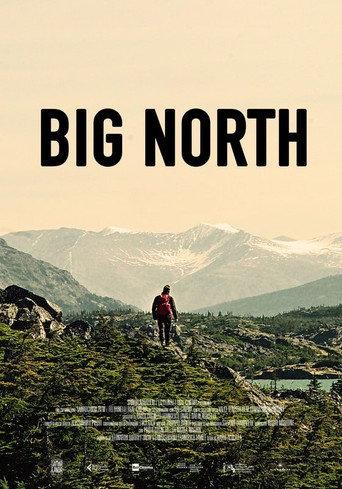 Big North (2020) poster