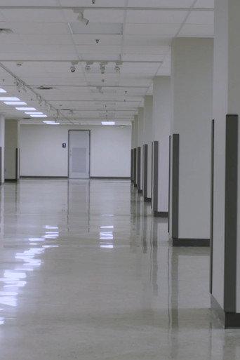 There is Nothing Underneath the West Virginia Wing (2018) poster