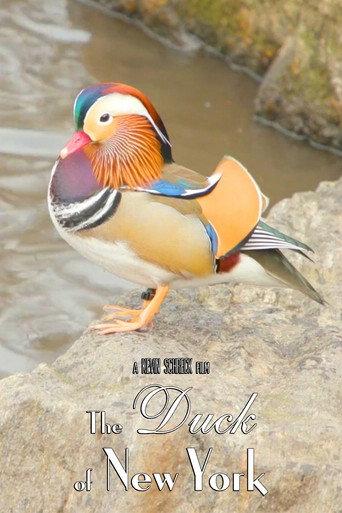 The Duck of New York (2023) poster