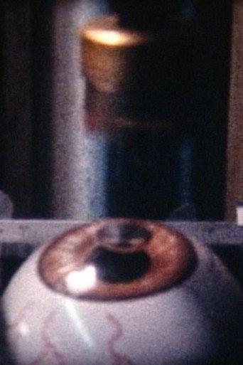 pinhole fever (2003) poster