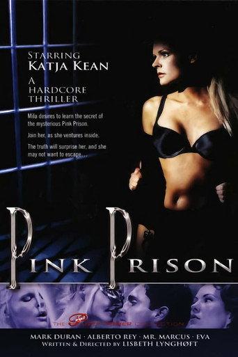 Pink Prison (1999) poster