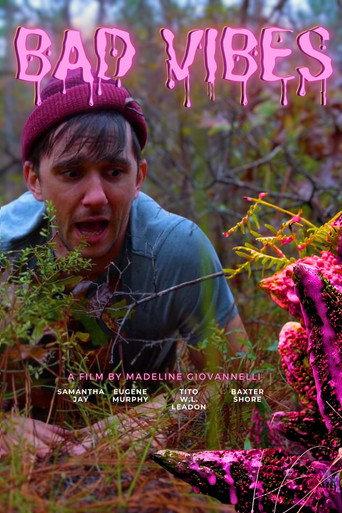 Bad Vibes () poster