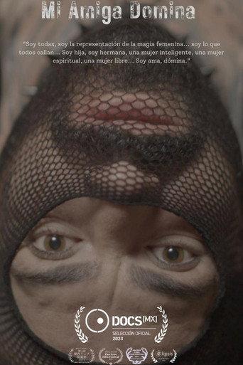 Mi amiga Domina () poster