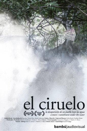 El Ciruelo (2008) poster