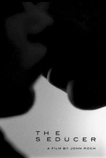 The Seducer (2009) poster
