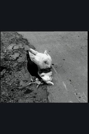 The Delmarva Chicken of Tomorrow (2002) poster