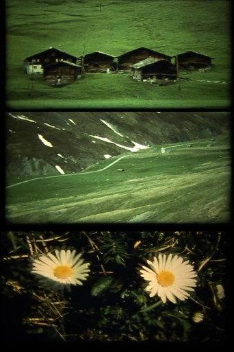 Spaziergänge (1987) poster