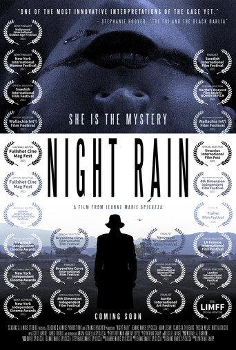 Night Rain () poster