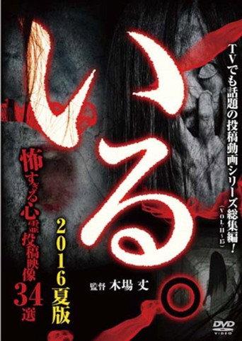 「Iru.」(Vol.11-15) Sōshūhen 2016 Natsu-ban Kowasugiru Shinrei Tōkō Eizō 34-sen (2016) poster