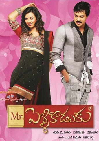 Mr.PelliKoduku (2013) poster