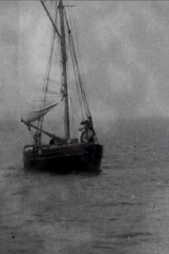 Panorama of the River Avon to Portishead (1902) poster
