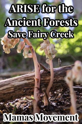 ARISE for the Ancient Forests | Save Fairy Creek () poster