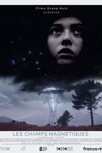 Magnetic Fields (2021) poster