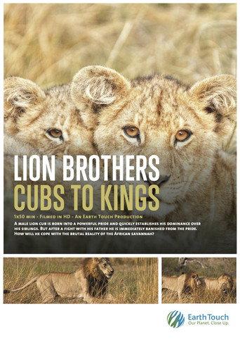 Lion Brothers: Cubs to Kings (2019) poster