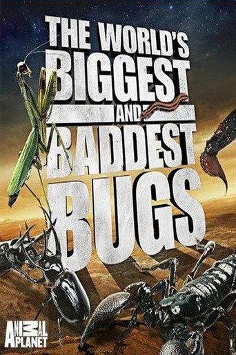 The World's Biggest and Baddest Bugs (2009) poster