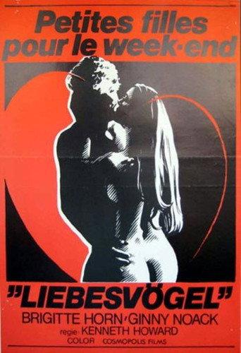 Die Liebesvögel - Küss mich da, wo ich es mag... (1979) poster