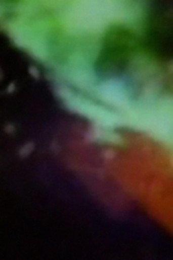 Bent Light (1976) poster