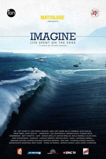 Imagine: Life Spent on the Edge (2014) poster