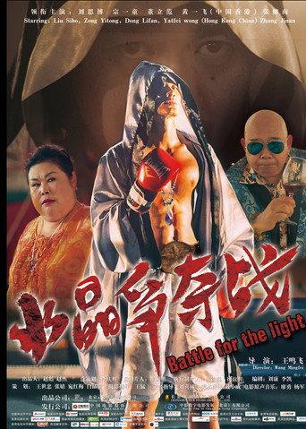 Battle for the light (2017) poster