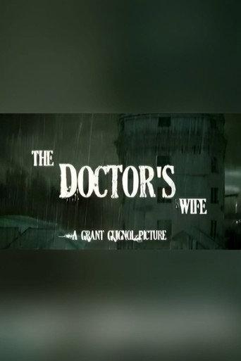 The Doctor's Wife (2011) poster