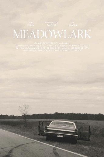 Meadowlark (2019) poster