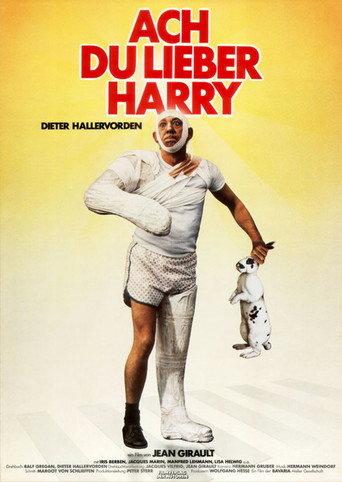 Oh Dear Harry! (1981) poster