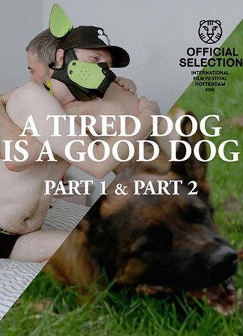 A Tired Dog is a Good Dog Parts 1 & 2 (2025) poster