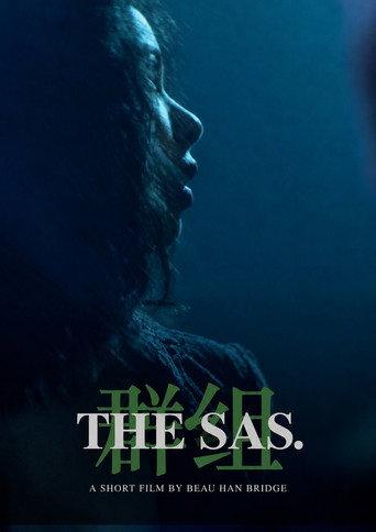 The SAS (2026) poster