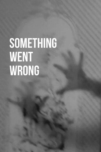 Something went wrong (2023) poster
