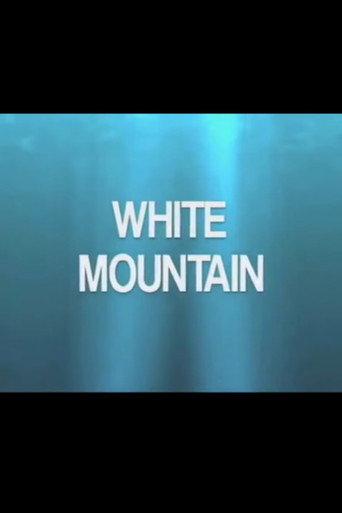 The White Mountain (2010) poster