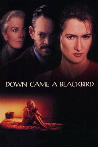 Down Came a Blackbird (1995) poster