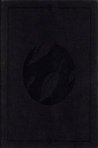 Clandestine (2003) poster