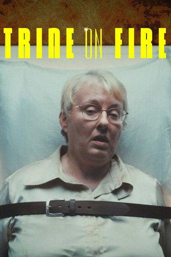 Trine on Fire (2025) poster