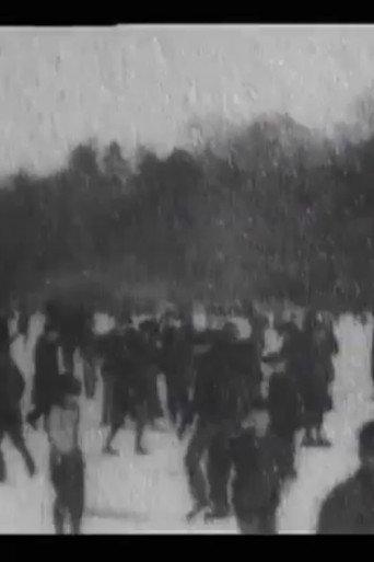 Skating on Lake, Central Park (1900) poster