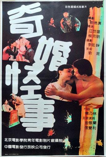 奇婚怪事 (1991) poster