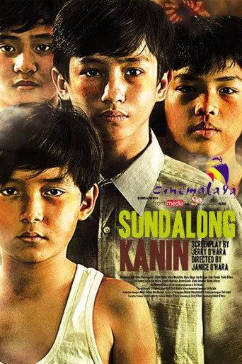 Rice Soldiers (2014) poster