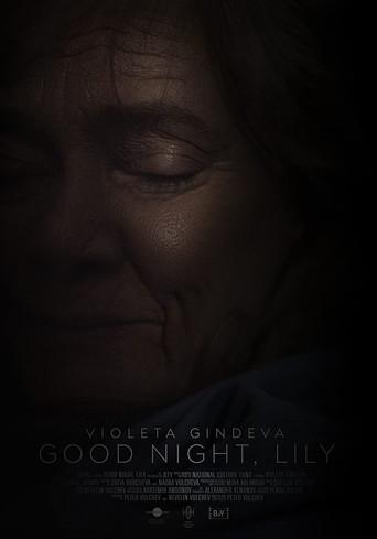 Good Night, Lily (2021) poster