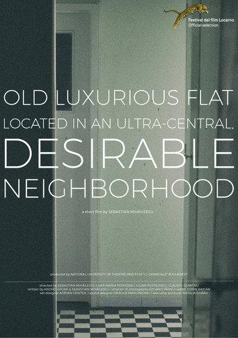 Old, Luxurious Flat Located in an Ultra-Central, Desirable Neighborhood (2016) poster