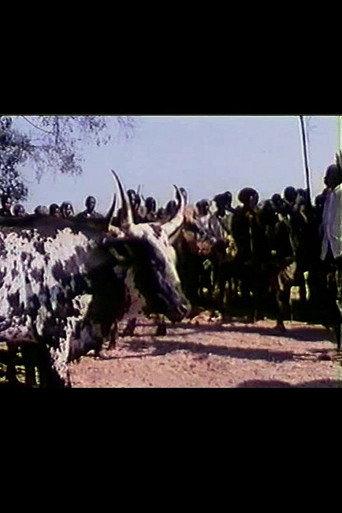 Feast of the Sacred Ox (1979) poster