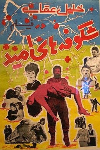 Blossoms of Hope (1965) poster