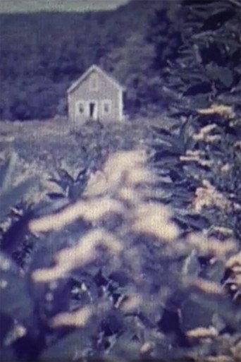 Homecall (1971) poster