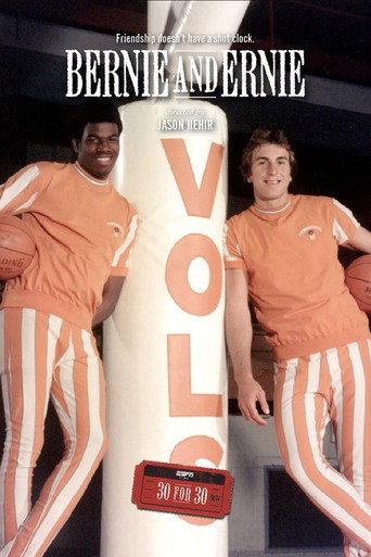 Bernie & Ernie (2013) poster